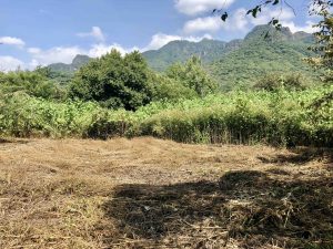 Terreno campestre campestre en venta en Yautepec Morelos.