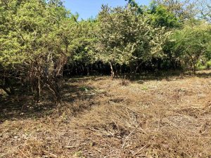 Terreno campestre campestre en venta en Yautepec Morelos.