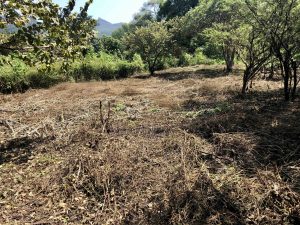 Terreno campestre campestre en venta en Yautepec Morelos.