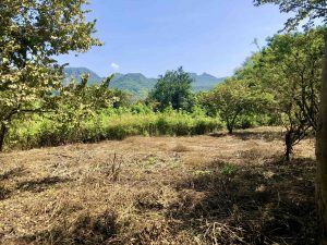 Terreno campestre campestre en venta en Yautepec Morelos.