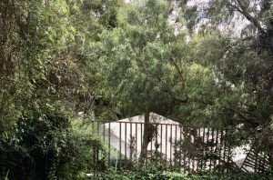 Terreno en venta en Lomas Altas CDMX.