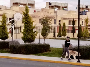 Casa en renta en fraccionamiento cerca de Pachuca.