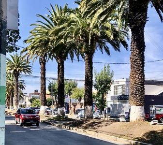 Oficina en renta en Avenida Comercial en Pachuca.