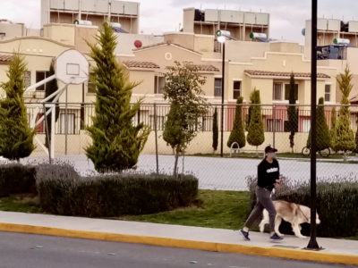 Casas en venta y renta en fraccionamiento en Hidalgo.