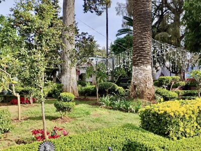 Terreno Rústico en Huasca de Ocampo Hidalgo.