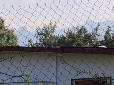 Terreno Rústico en Huasca de Ocampo Hidalgo.