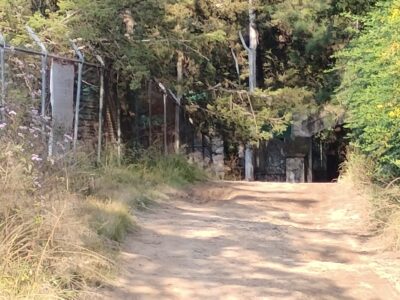 Terreno Rústico en Huasca de Ocampo Hidalgo.